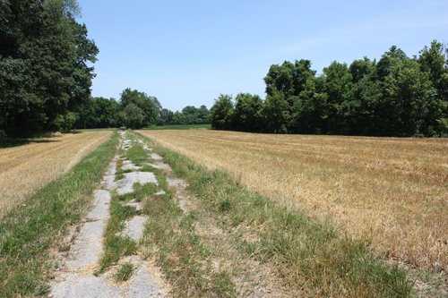 Property photo 15 - AUCTION POSTPONED